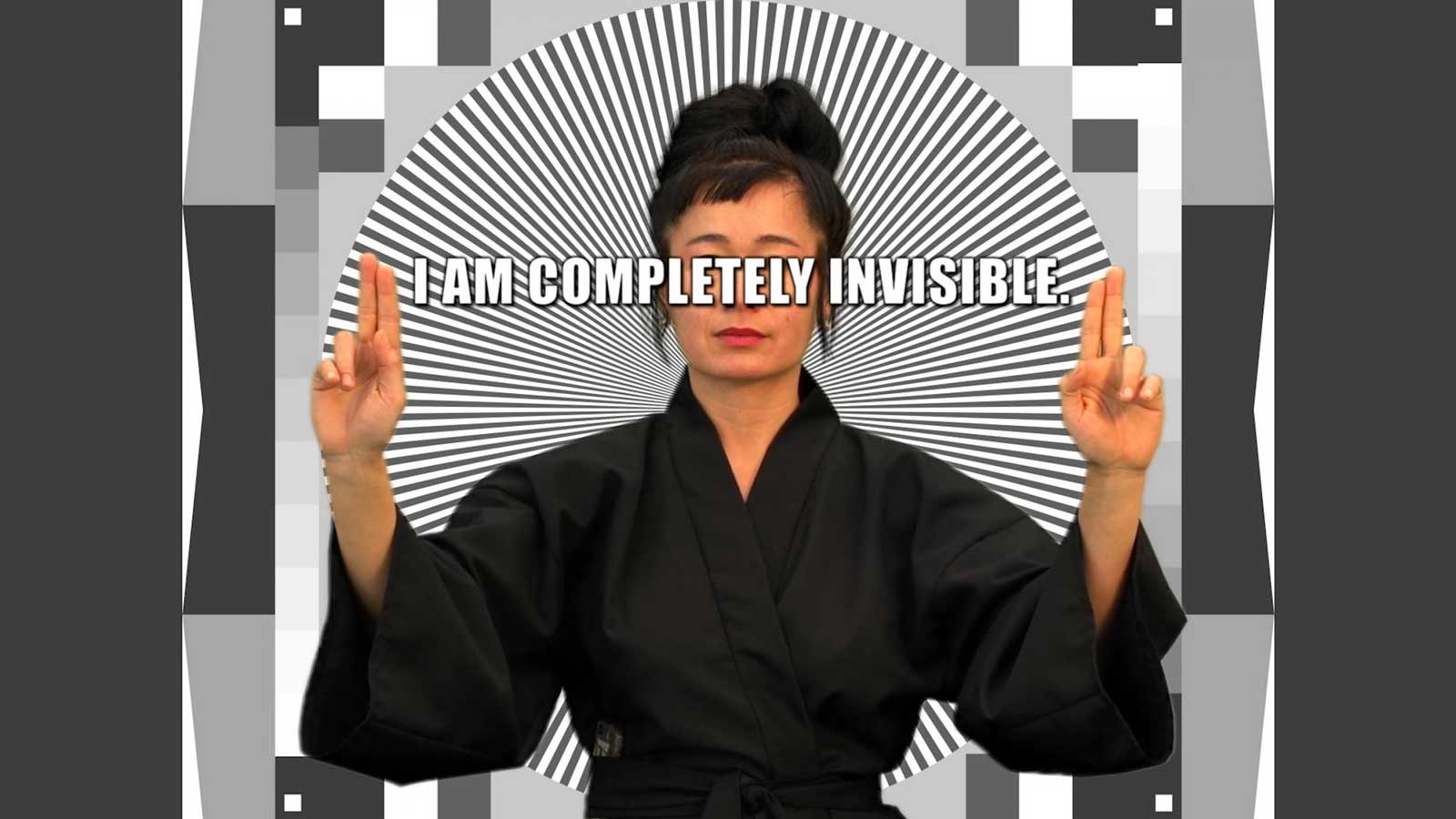 Figure 6. Hito Steyerl, How Not to Be Seen (2013)